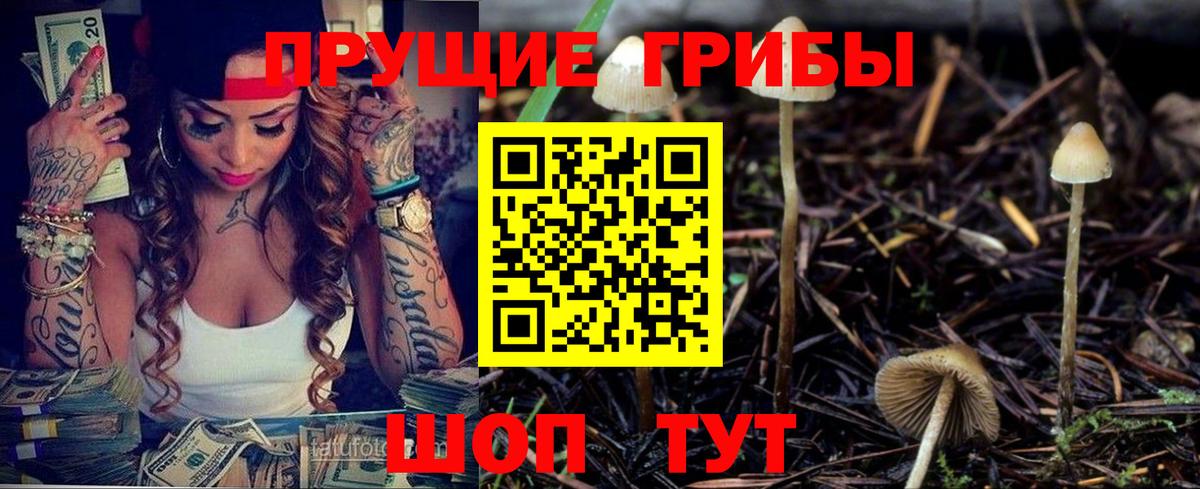 Псилоцибиновые грибы Psilocybine cubensis  Галлюциногенные грибы мицелий  Лянтор  Вход с VPN 
