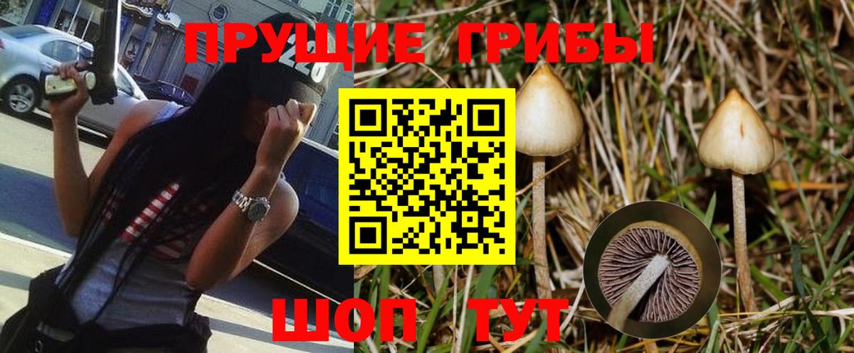 Галлюциногенные грибы ЛСД Лянтор